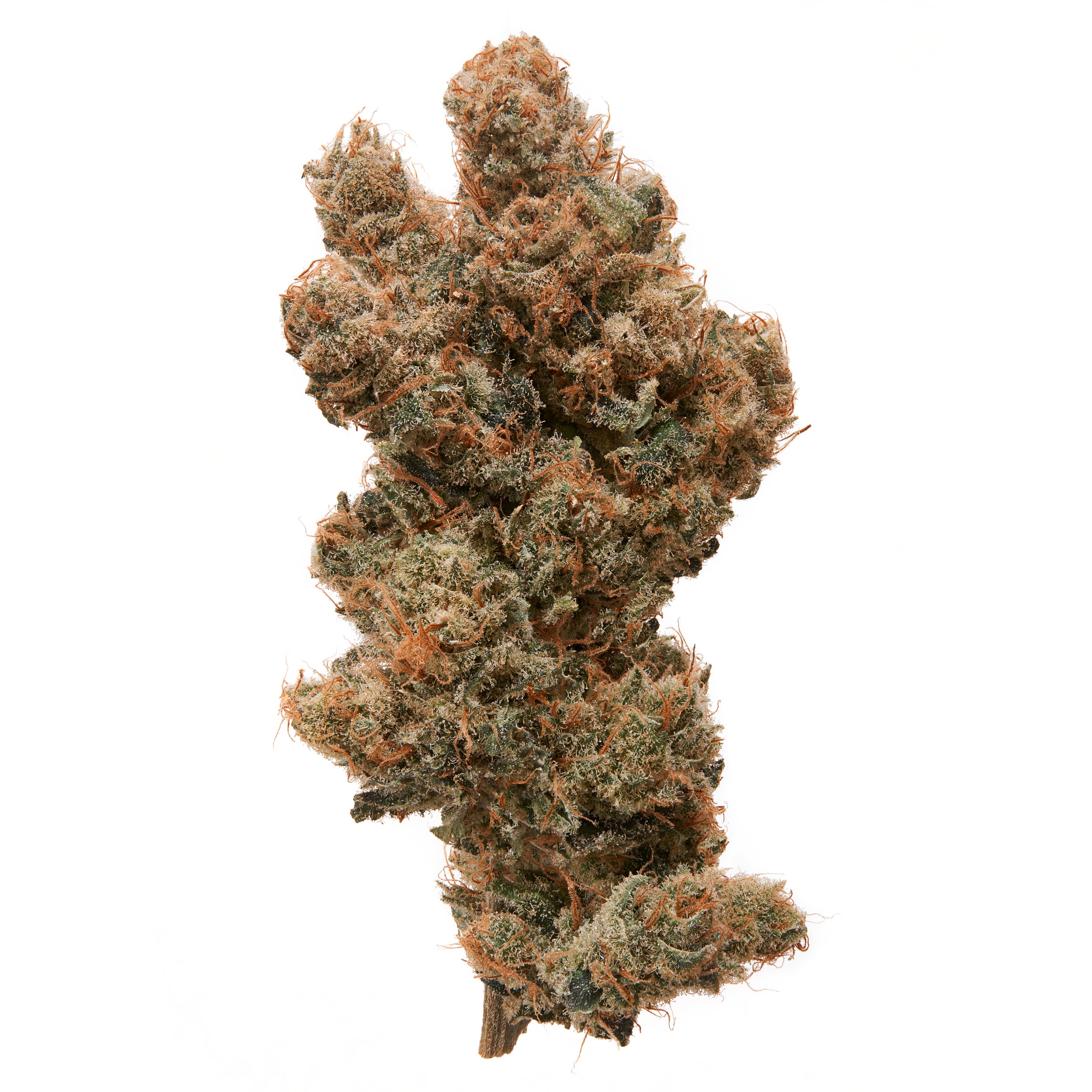 Frosted Lime CBD Flower