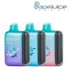 Geek Bar Pulse 15K Frozen Edition Disposable