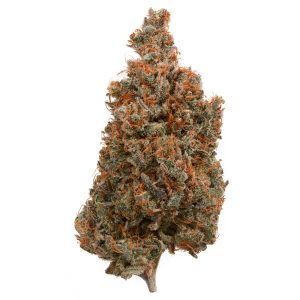 Indoor Afghani Maple CBD Flower