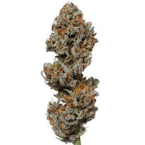 Indoor Atlant CBD Flower