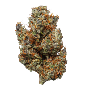 Indoor Blackberry Gleaux CBD Flower