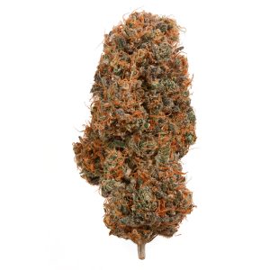 https://cannabishighstore.com/shop/