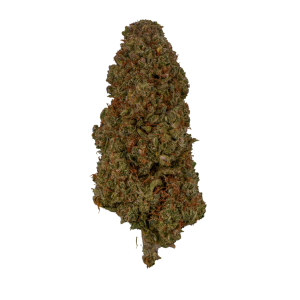Indoor Doomsday Diesel CBD Flower