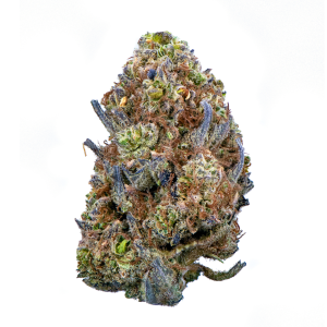Indoor Sour Jet Fuel CBD Flower