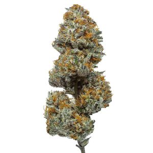 Paradise OG CBD Flower