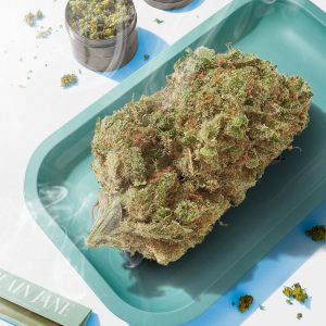 Plain Jane Cobbler Hemp Indoor Flower