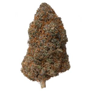 Plain Jane Mango Fire Indoor CBD Flower