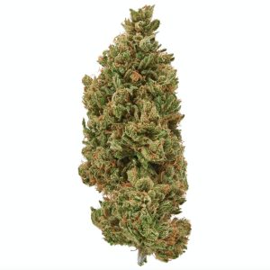 Plain Jane Sour Lifter Hemp Flower