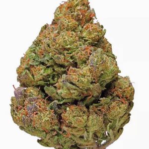 Velvea Cheese